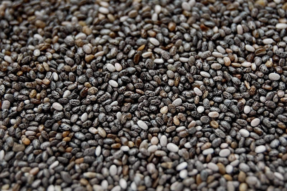 Chia Seeds for Optimal Health Benefits from Bulk Supplier