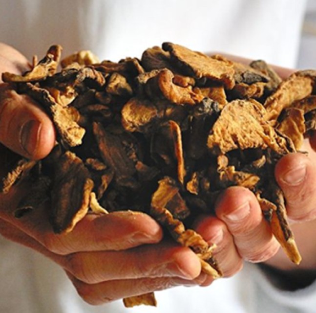 Dry Chicory (Hand Diced) - High-Quality Wholesale Supplier for Coffee & Health Industries