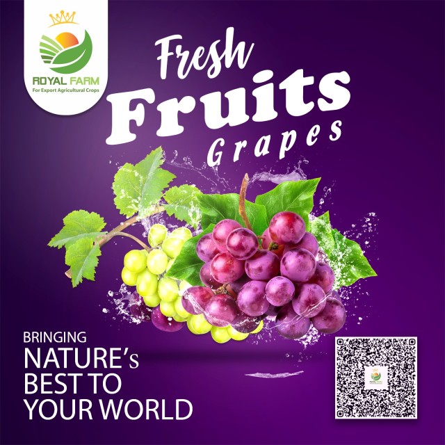 Fresh Egyptian Grapes for Sale at Competitive Prices