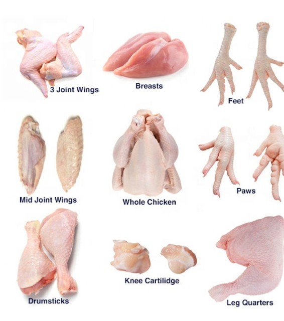 Halal Certified Grade-A Frozen Chicken for Sale from Brazil