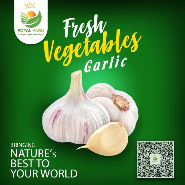 Egyptian Garlic - Best Wholesale Rates Available