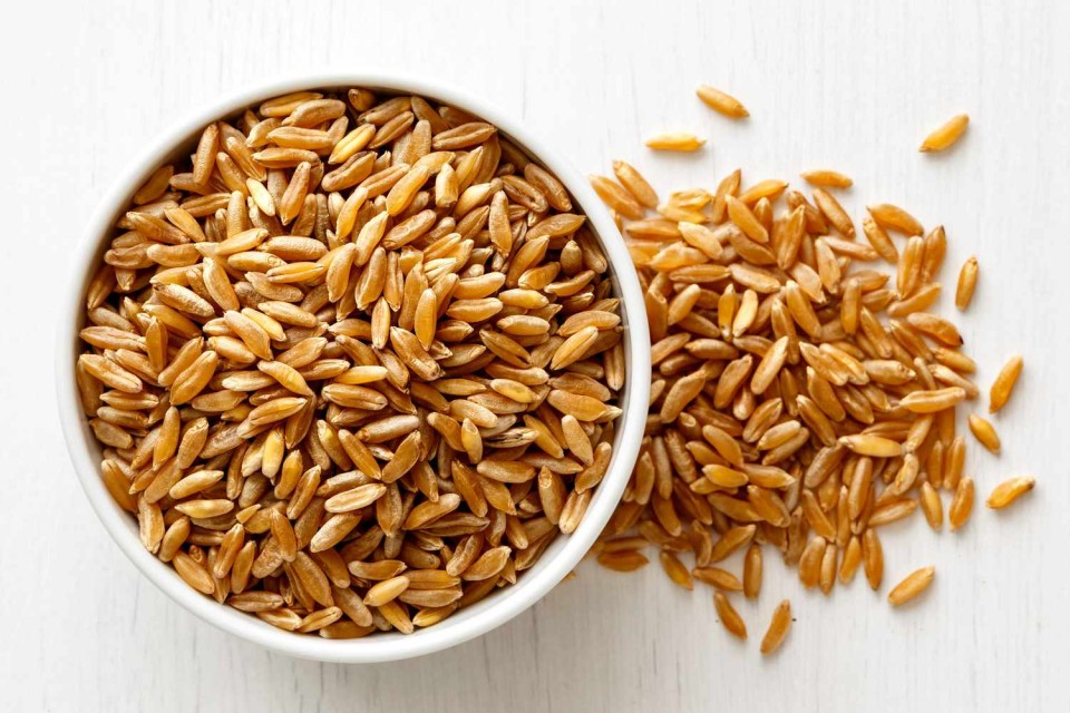 Kamut Grains - Khorasan Wheat from South Africa at Wholesale Rate