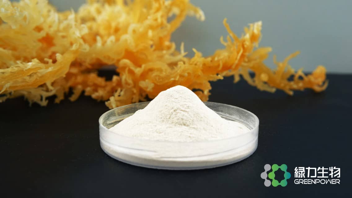 Kappa Refined Carrageenan for Meat, Jelly, and Confectionery Use