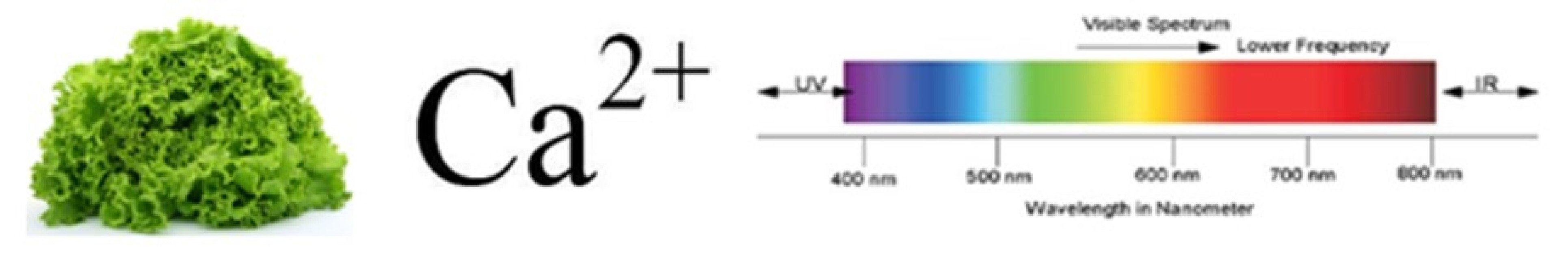 Calcium Uptake Lighting Model for Greenhouse Solutions at Best Price