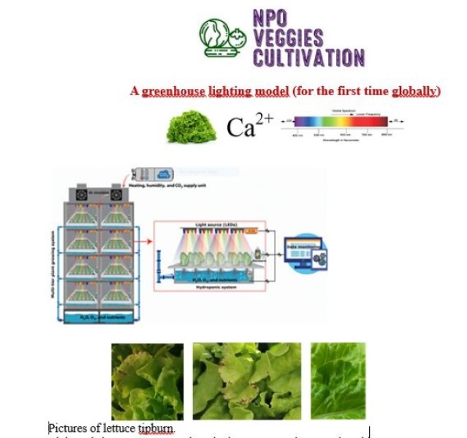 Calcium Uptake Lighting Model for Greenhouse Solutions at Best Price