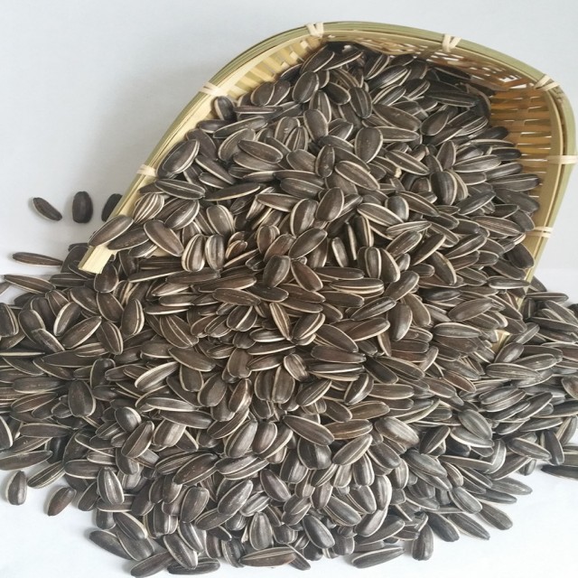 Sunflower Seeds 601/363 Supplier for Oil Production at Competitive Rates