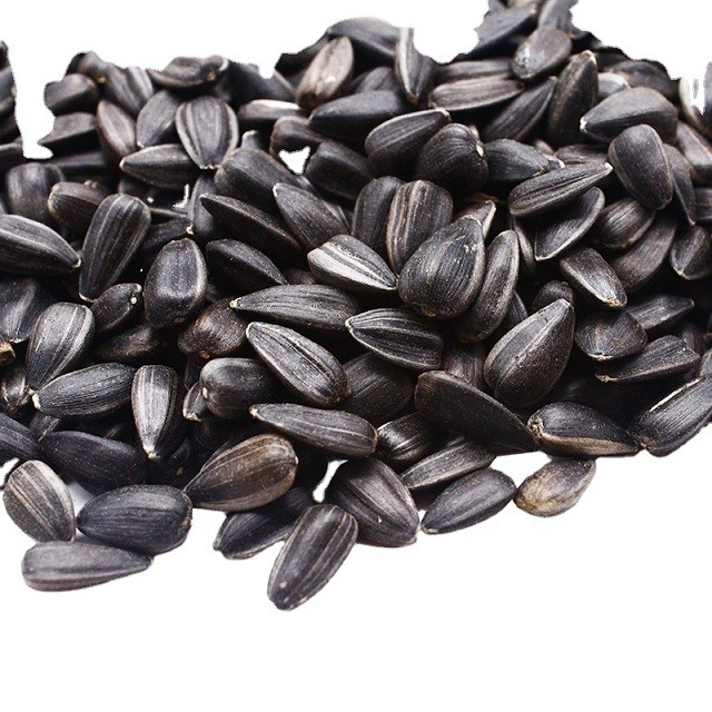 Sunflower Seeds 601/363 Supplier for Oil Production at Competitive Rates