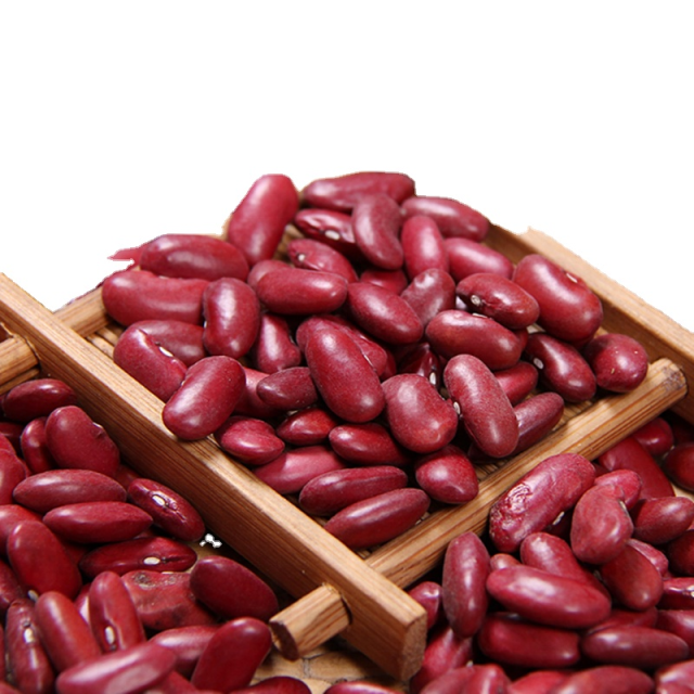 New Crop Red Kidney Beans - Wholesale Price, Red, 0.2 Size, A-Grade