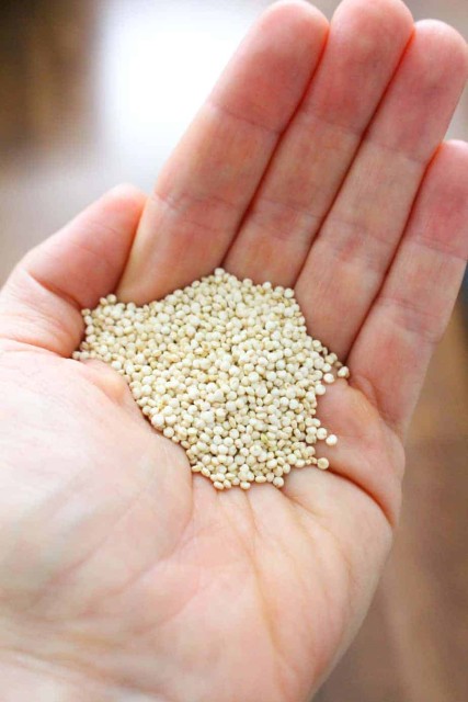 Organic Quinoa - Nutritious Quinoa Grains from Bulk Supplier