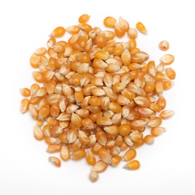 Popcorn Kernels at Quality Bulk Supplier from South Africa