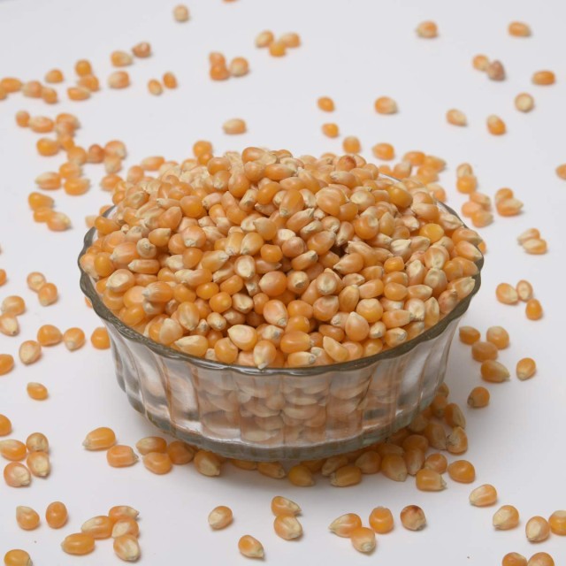 Popcorn Kernels at Quality Bulk Supplier from South Africa