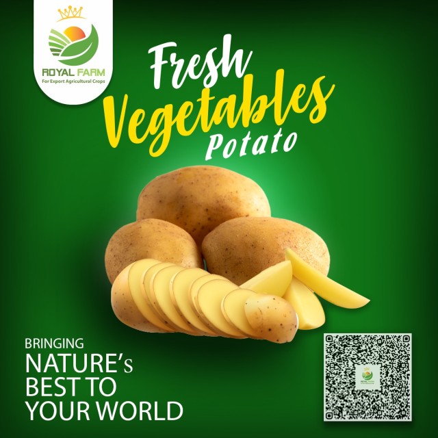 Egyptian Potatoes - Fresh Quality Bulk Supply for Export