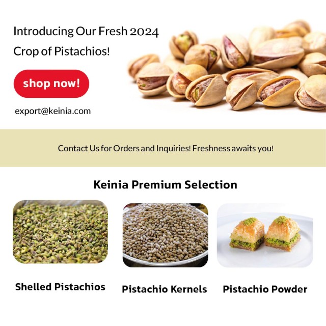 Premium Quality Fresh Pistachios for Bakery, Snacks, Confectionery