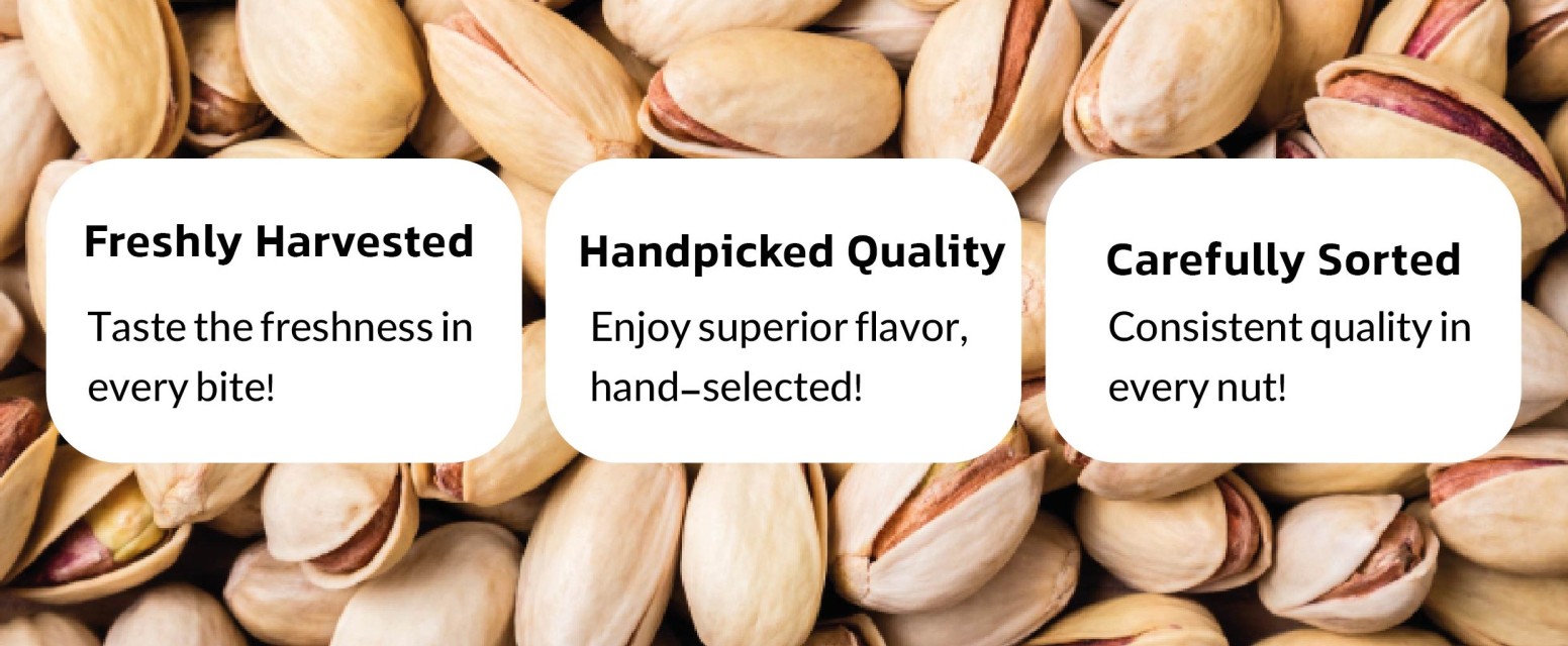 Premium Quality Fresh Pistachios for Bakery, Snacks, Confectionery