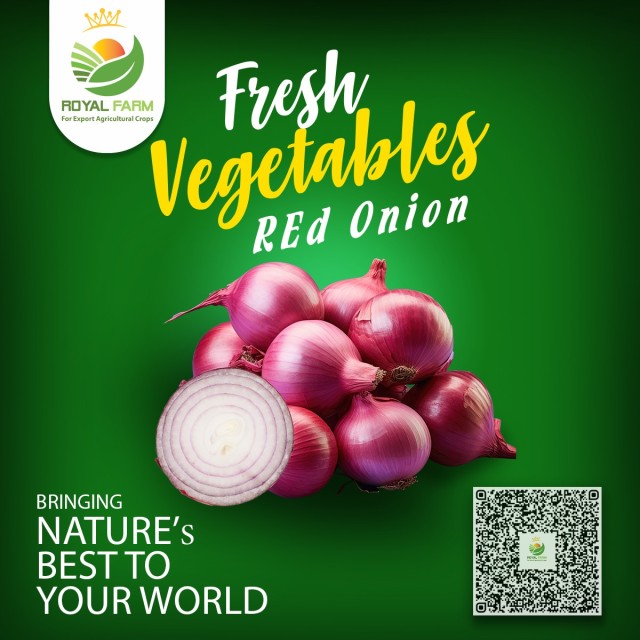 Fresh Egyptian Red Onion - Bulk Orders, Competitive Rates for International Trade