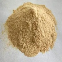 Xanthan Gum - Premium Bulk Supply for Thickening and Emulsification