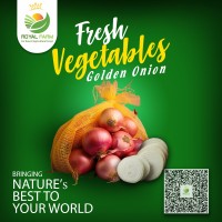 Golden Onion - Bulk Supply & Competitive Pricing for Fresh Egyptian Onions