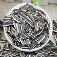 Sunflower Seeds 601/363 Supplier for Oil Production at Competitive Rates