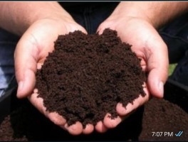 Organic Fertilizer - Nutrient-Rich Soil Amendment for Healthy Plant Growth