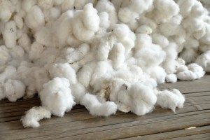 Raw Cotton - Quality Bulk Cotton Supply from South Africa