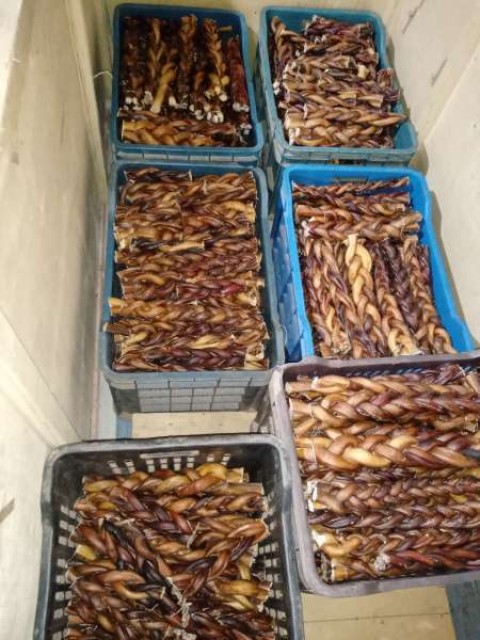 Natural Dried Beef Pizzle Bully Sticks - High-Protein Dog Treats for Sale