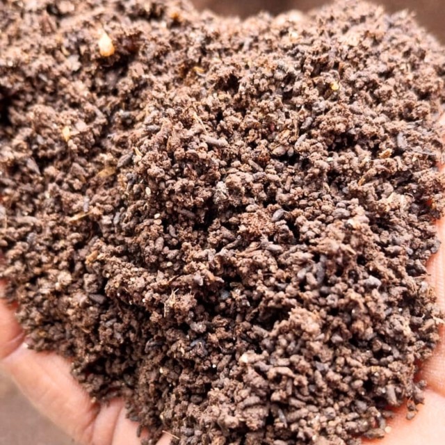 Vermicompost Fertilizer - Organic, Nutrient-Rich Soil Enhancer