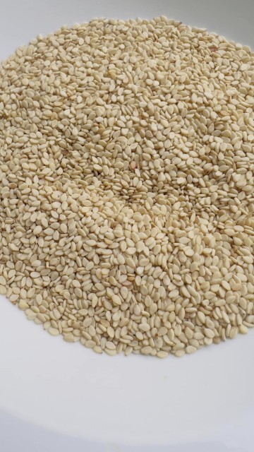 White Hulled Sesame Seeds for Bulk Supply at Competitive Pricing