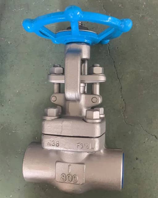 API602 Forged Steel Gate Valve/Globe Valve/Check Valve - Forged Valve for Critical Applications