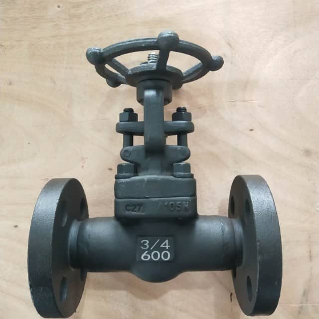 API602 Forged Steel Gate Valve/Globe Valve/Check Valve - Forged Valve for Critical Applications