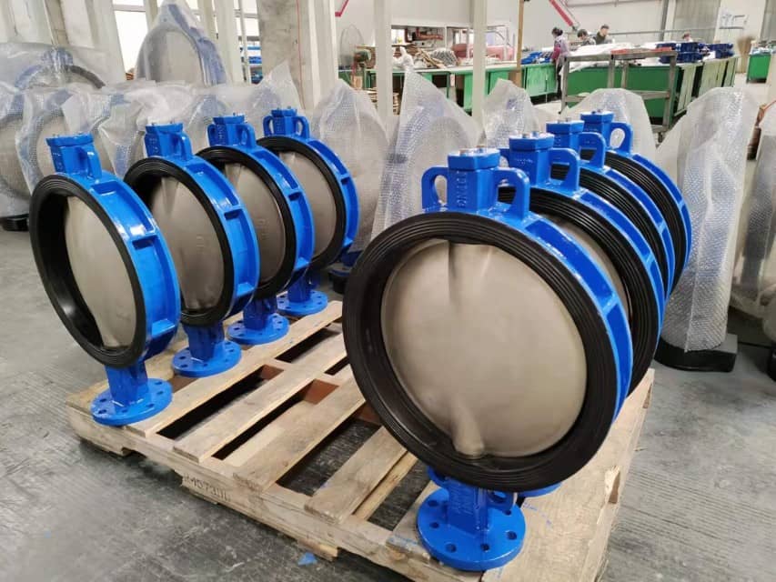 Wafer & Lug CI DI Material Concentric Butterfly Valves - Valve Solutions for Water Treatment and More