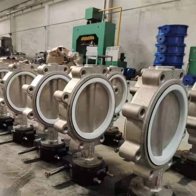 Wafer & Lug CI DI Material Concentric Butterfly Valves - Valve Solutions for Water Treatment and More