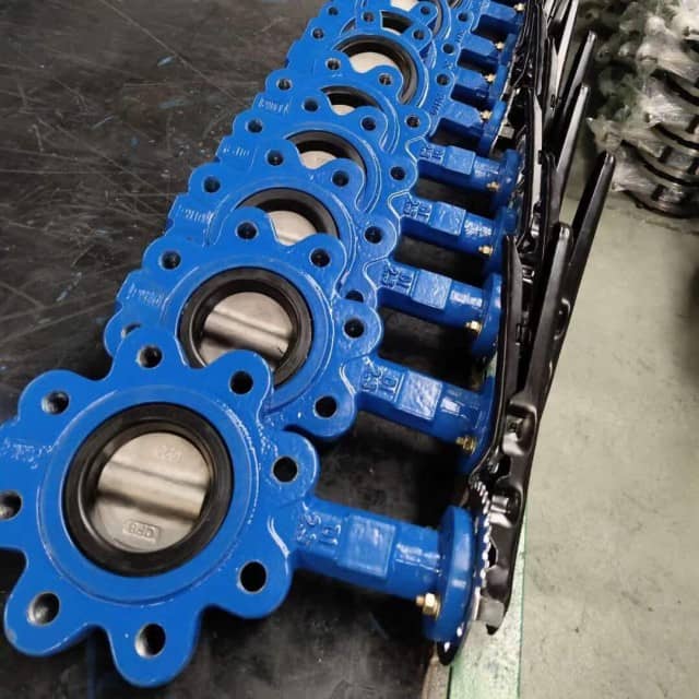 Wafer & Lug CI DI Material Concentric Butterfly Valves - Valve Solutions for Water Treatment and More