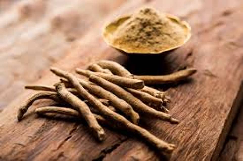 Ashwagandha Powder/Root - Best Price for Wholesale Trade from India