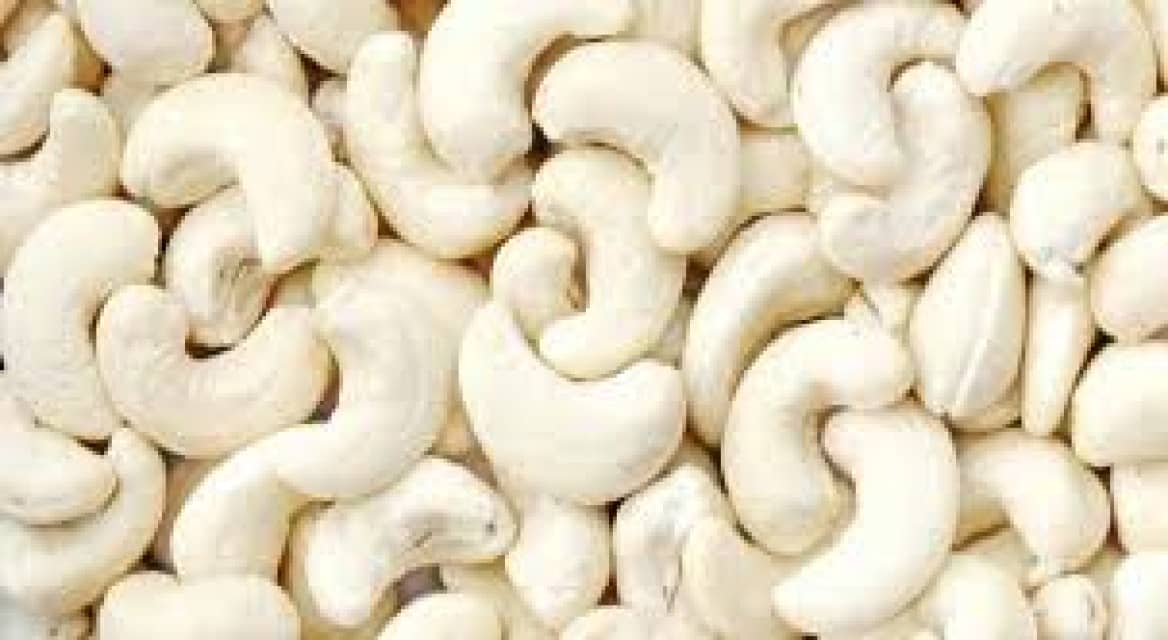 Cashew Kernel - Wholesale Supplier