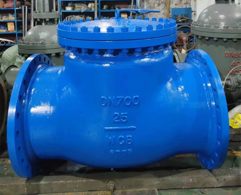 Cast Steel Swing Type Check Valve – Flow Control Valve for Water, Oil, Gas & More