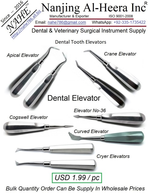 Dental Root Elevator Dental Surgical-Stainless Steel Instruments - Wholesale Supply