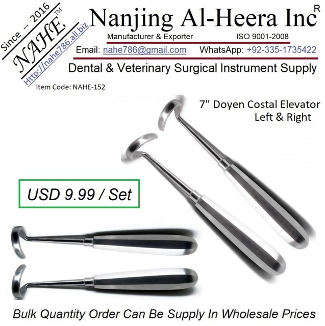 Dental Root Elevator Dental Surgical-Stainless Steel Instruments - Wholesale Supply