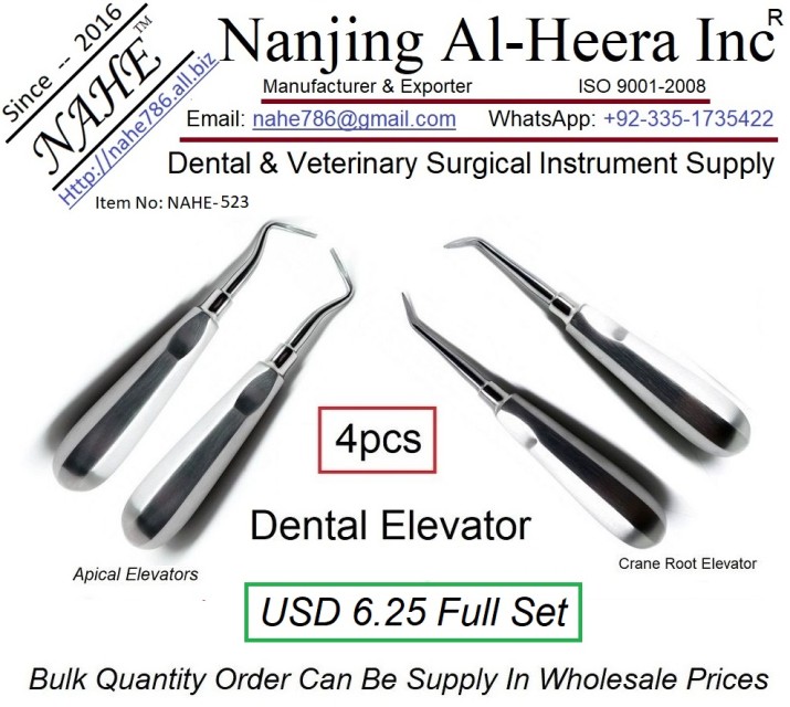 Dental Root Elevator Dental Surgical-Stainless Steel Instruments - Wholesale Supply