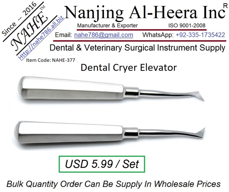 Dental Root Elevator Dental Surgical-Stainless Steel Instruments - Wholesale Supply