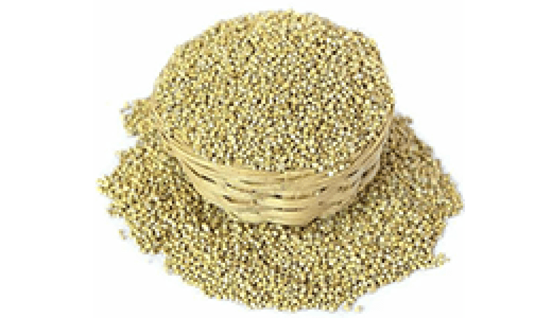 Millet Grains – Healthy, Gluten-Free, Non-GMO – Best Price Available