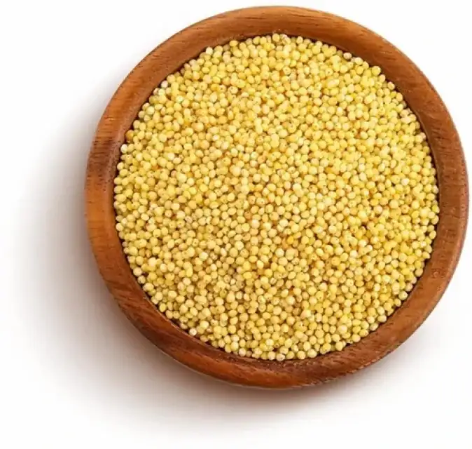 Millet Grains – Healthy, Gluten-Free, Non-GMO – Best Price Available