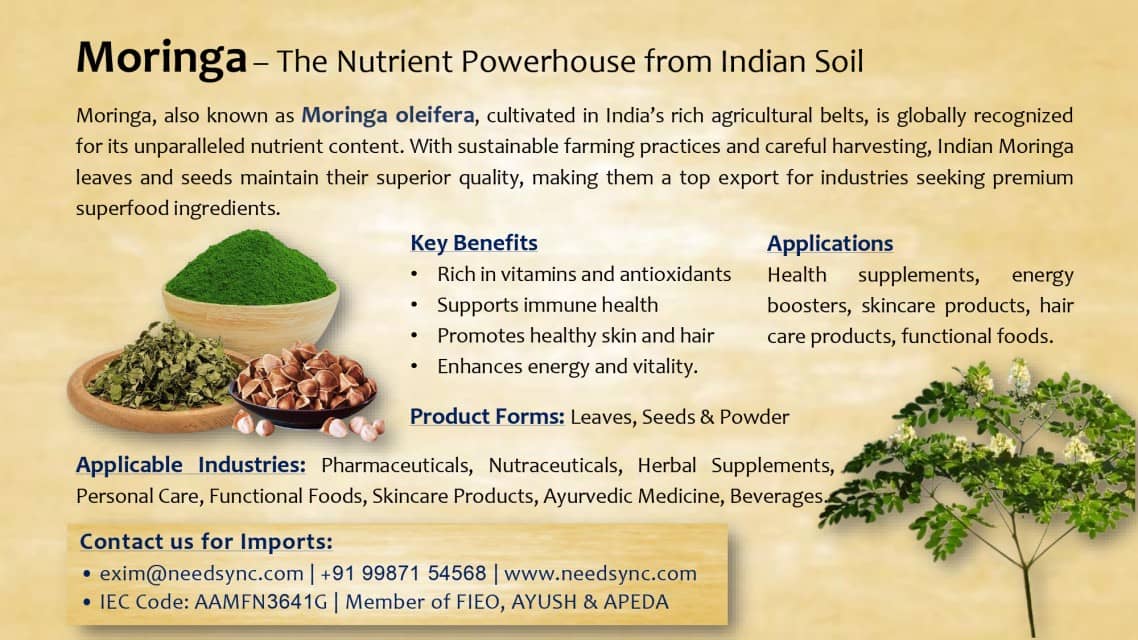 Moringa Powder/Leaves Wholesale Supplier from India - Nutrient-Rich Superfood