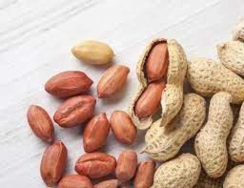 Peanut Seed - Non-GMO, for Oil Extraction, Snacks & Confectionery