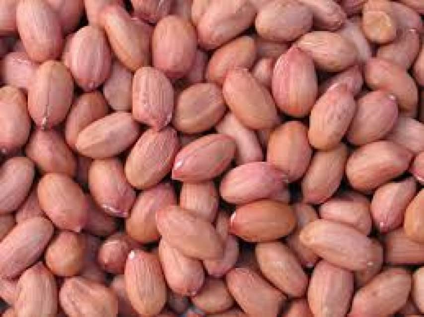 Peanut Seed - Non-GMO, for Oil Extraction, Snacks & Confectionery