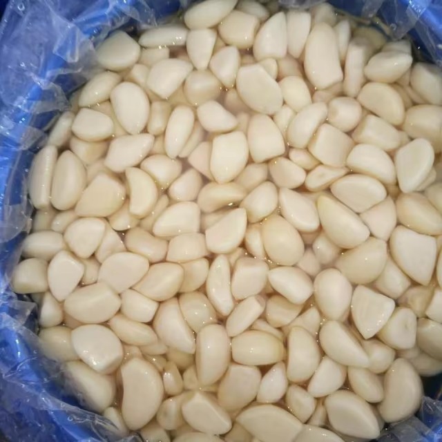 Pickled Garlic Cloves in Brine – Fresh and Flavorful from Wholesale Supplier