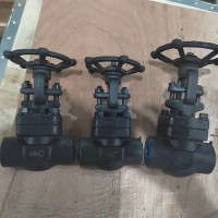 API602 Forged Steel Gate Valve/Globe Valve/Check Valve - Forged Valve for Critical Applications