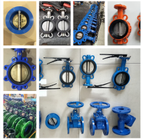 Wafer & Lug CI DI Material Concentric Butterfly Valves - Valve Solutions for Water Treatment and More