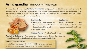 Ashwagandha Powder/Root - Best Price for Wholesale Trade from India