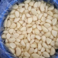 Pickled Garlic Cloves in Brine – Fresh and Flavorful from Wholesale Supplier