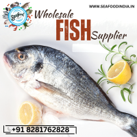 Wholesale Fish – Fresh Seafood at Competitive Rates for Restaurants and Markets